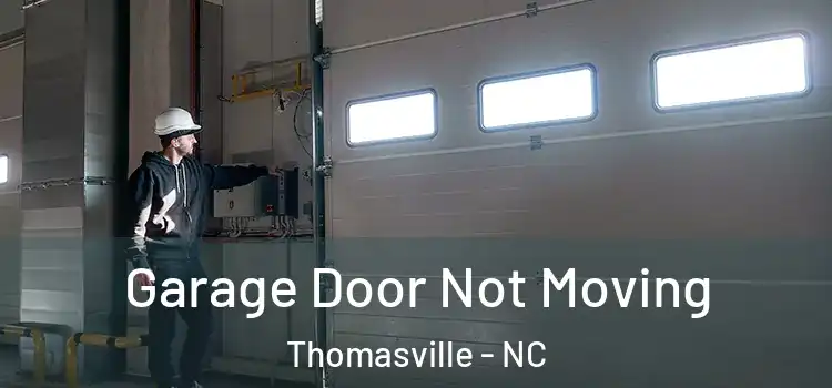  Garage Door Not Moving Thomasville - NC