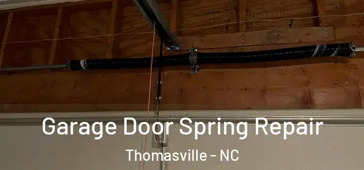  Garage Door Spring Repair Thomasville - NC