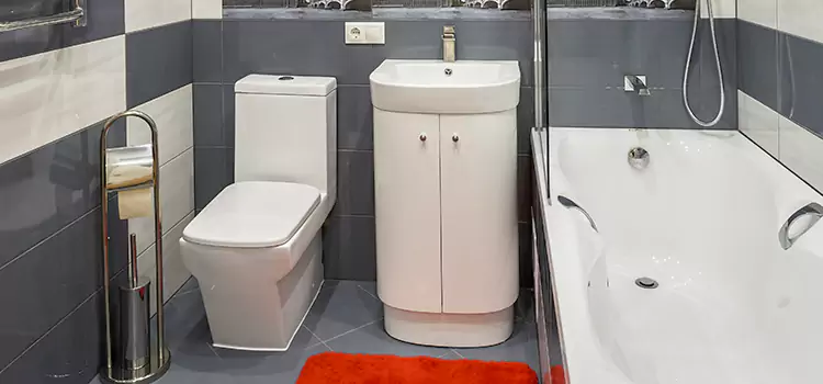 Hansgrohe Shaving Mirror Thomasville